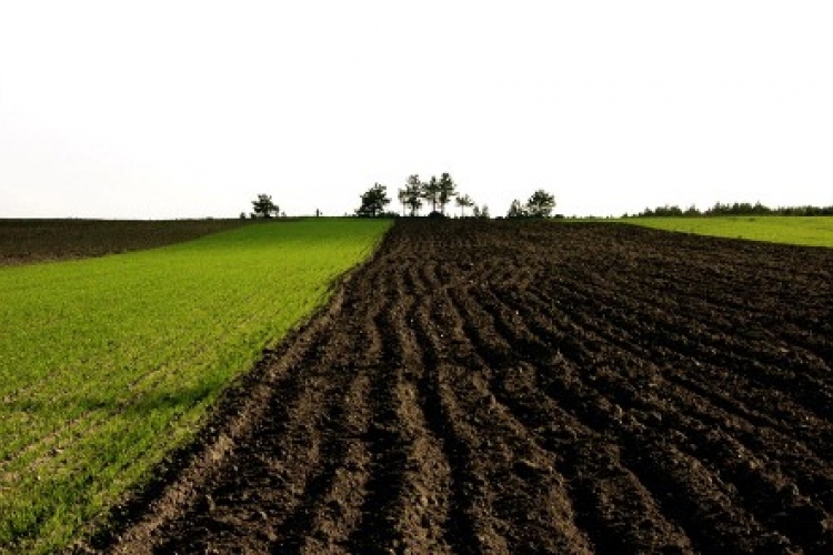 Magyarországon földdel rendelkező osztrák gazdák panaszait vizsgálja az Európai Bizottság