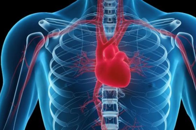 Szívbetegséget okozhat az arzén