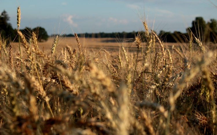 Új lendületet vehet a generációváltás az agráriumban