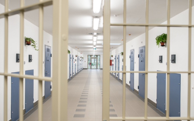 Engedélyezték a skálás gyilkos feltételes szabadságát, de a döntés nem végleges