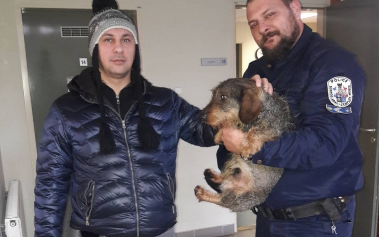Tacskót mentettek a jeges Tiszából