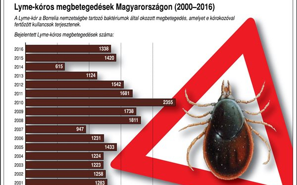 Hamarosan kezdődik a kullancsszezon